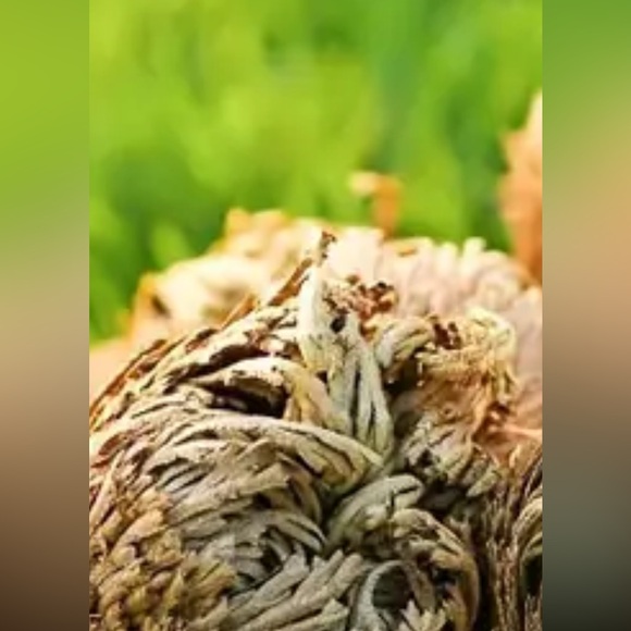 LAST ONE Rose of Jericho,  One Plant , Spiritual Cleansing, Luck, and Prosperity - Picture 2 of 8